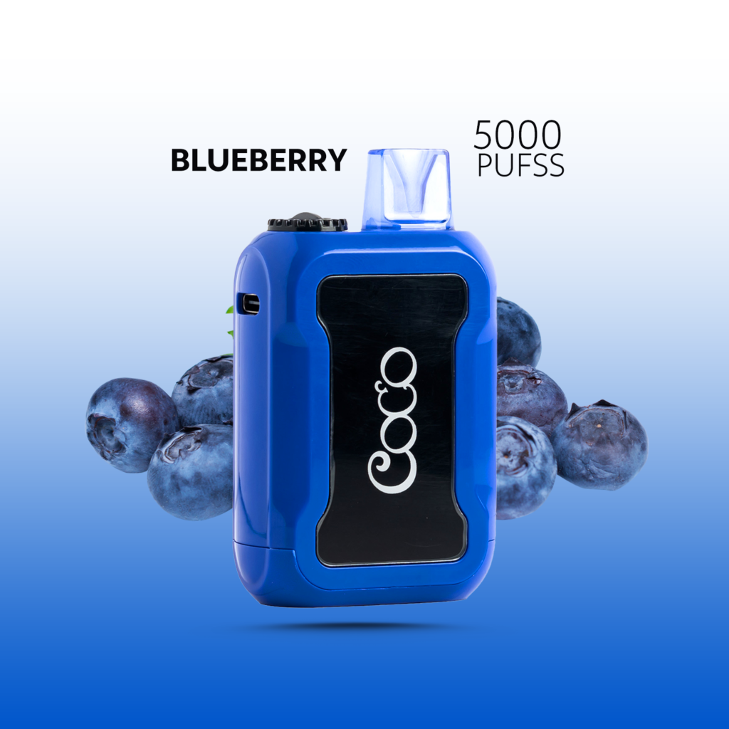 COCO BLUEBERRY 5000 PUFFS